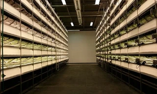 Các trang trại thẳng đứng đáng chú ý trên thế giới