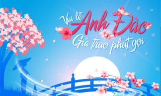 Thuê bao VinaPhone xem hoa anh đào được tặng 25% cước chuyển vùng quốc tế