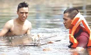 Hình ảnh chú mèo con bị đồn đã chết trong phim “Vừa đi vừa khóc”. Ảnh: Gia Đình và Xã Hội