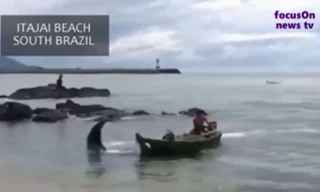 Cá đuối nặng hơn một tấn khiến ngư dân phát hoảng