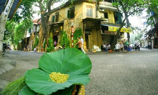 Khoảnh khắc Thu Hà Nội