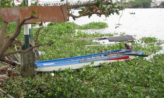 Khu vực phát hiện thi thể 