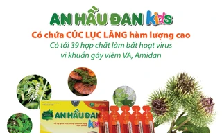 An Hầu Đan Kids chứa các thảo dược vàng nào?