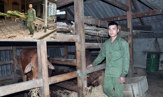 Mất đi hai bậc sinh thành, nhưng chàng trai Hồ Quốc Hạnh không gục ngã. Một mình em đã cáng đáng mọi công việc của bố mẹ để lại, nuôi bà và 3 đứa em có cái ăn, không phải bỏ học giữa chừng. Ảnh: Vũ Trọng Hoài.