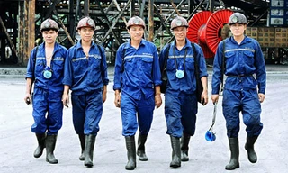 TKV: 6 tháng đầu năm lợi nhuận 2000 tỷ đồng