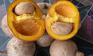 Kỳ lạ táo lõi vàng có hình dáng... hồng xiêm