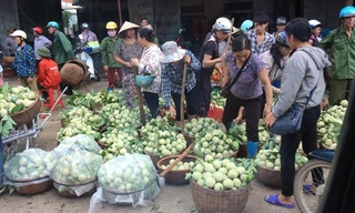 Nhộn nhịp chợ na Chi Lăng. Ảnh: D.C