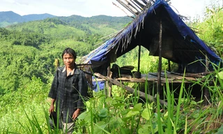 Hai năm về với văn minh của 'người rừng' Hồ Văn Lang