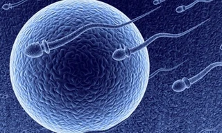  Ảnh minh họa. Theo Foxnews.