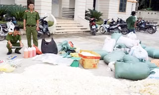 Gần 1 tấn găng tay vẫn còn dính máu được CAQ Long Biên thu giữ 