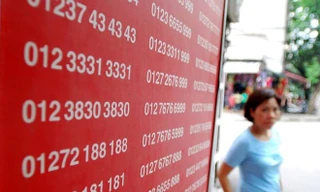 Giá SIM 11 số đẹp đang tăng chóng mặt