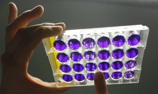 (Ảnh minh họa: Reuters)