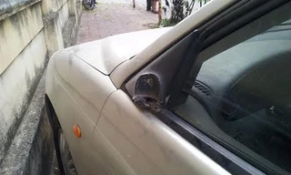 Nạn vặt trộm gương đang hoành hành ở Hà Nội khiến không ít các chủ xe lo lắng, đứng ngồi không yên