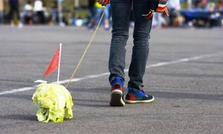 Giới trẻ Trung Quốc rộ “mốt” dắt bắp cải đi dạo