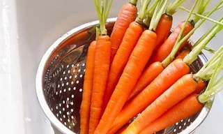 Dinh dưỡng tăng cường miễn dịch, phòng dịch sởi