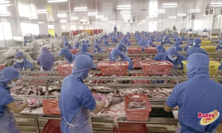 Khung cảnh nhộn nhịp của hàng ngàn công nhân trong nhà máy IDI đang miệt mài thi đua sản xuất