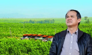 Bầu Đức muốn có thêm tiền trồng ớt, chuối…nhưng bất thành