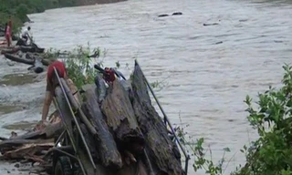 người dân đua nhau vớt củi trên dòng sông bằng các vật dụng thô sơ