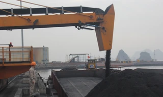 Công ty Kho vận và Cảng Cẩm Phả tiêu thụ 17.000 tấn than ngày đầu năm