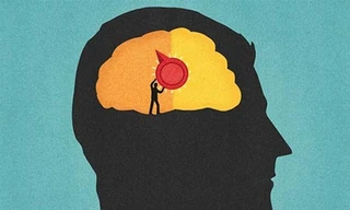 Các nhà nghiên cứu đã phát hiện công tắc "bật - tắt" trạng thái tỉnh táo, có ý thức của con người trong vùng hạch nền của bộ não. Ảnh: Corbis