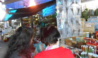 Năm Giáp Ngọ 2014 này là năm loài ngựa cầm tinh nên các món ăn chơi liên quan đến loài này cũng được bá tánh "chiếu cố" rầm rộ. Săn các mẻ cao ngựa được quảng cáo ầm ĩ giữa đời thực và trên các trang mạng ảo chưa đã, nhiều người còn tích cực săn cá ngựa h