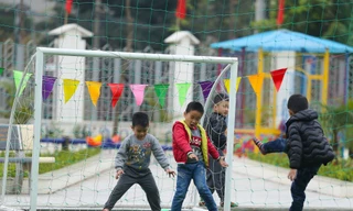 Vi chất tuy là dưỡng chất rất nhỏ bé nhưng vô cùng quan trọng cho sự tăng trưởng và phát triển của trẻ em, nhất là lứa tuổi học đường