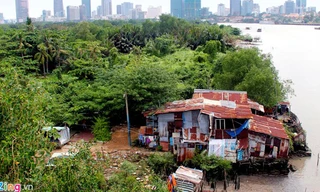 Cuộc sống trong 'khu rừng cỏ lau' giữa Sài Gòn