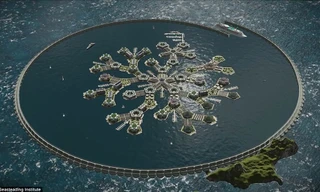 'Cha đẻ' Paypal xây thành phố nổi đầu tiên thế giới