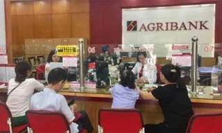 Agribank kịp thời đáp ứng nhu cầu vốn để phát triển sản xuất cũng như đi xuất khẩu lao động của người dân