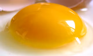 Ảnh: egginfo.
