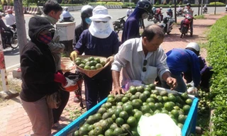 Hàng chục người nhặt cam giúp cụ ông bị lật xe ba gác