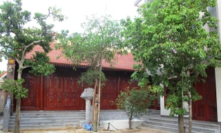 Ngôi nhà độc đáo làm từ 700 m3 gỗ đinh hương