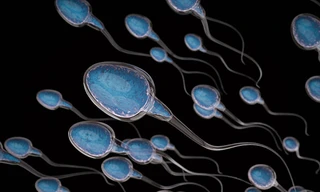 LAISS – Phương pháp mới làm thức tỉnh 'chiến binh' bất động