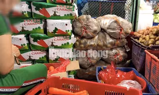 Khoai tây Trung Quốc được nhập về tỉnh Lâm Đồng rồi dán nhãn mác Đà Lạt bán với giá cao Ảnh: THÀNH ĐỒNG