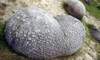 Kinh ngạc loại đá kỳ lạ tự phình to sau mỗi trận mưa