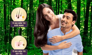 Tế bào mầm tóc: Đột phá mới trong điều trị rụng tóc, hói đầu