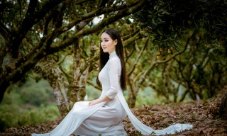 Cô gái sở hữu hai bằng ĐH loại giỏi khoe sắc bên vườn vải