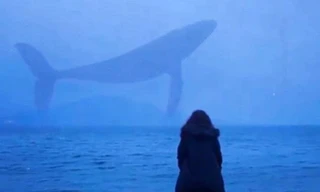 Cuối cùng, câu hỏi được đặt ra là tại sao những người trẻ lại chấp nhận tự kết liễu mình bằng một trò chơi vô nghĩa như vậy? Ảnh: India Today.