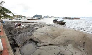 Hành trình bứt phá ngoạn mục của du lịch Hạ Long