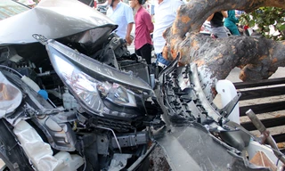 Xe ô tô Honda CRV 79A-053.85 bị nát đầu do đâm vào gốc cây tra 