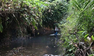 Hình ảnh suối Trầm hôm qua 