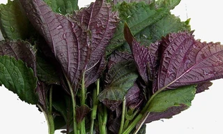 Cách làm trắng da nhanh nhất trong 3 ngày bằng lá tía tô - Ảnh: Internet 