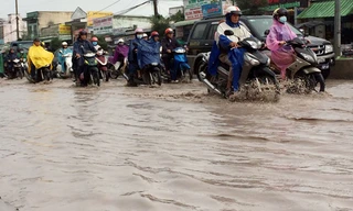 Cần Thơ bì bõm trong nước.