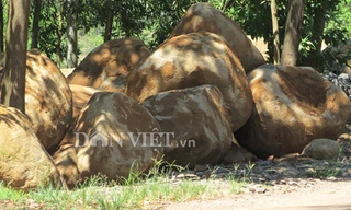 Hiểm nguy chẻ đá mưu sinh