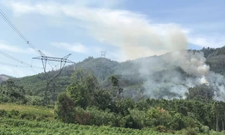 Hình ảnh cháy rừng gây nguy hiểm vận hành đường dây 500 kV