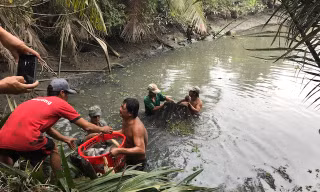Người dân xã Đa Phước trúng mùa cá 
