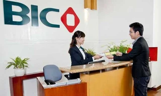 Nửa đầu năm 2019, lợi nhuận hợp nhất của BIC tăng trưởng 18%