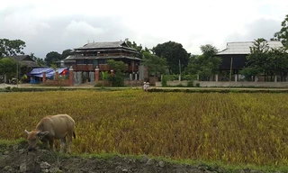 Bản Chao Hạ - điểm đến của một làng du lịch văn hóa Thái ở Mường Lò