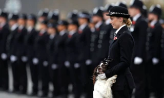 Vẻ đẹp của những 'bông hồng thép' trong quân đội các nước