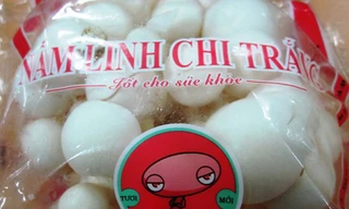 Nấm linh chi trắng có nguồn gốc từ Trung Quốc. Ảnh: Thi Hà.